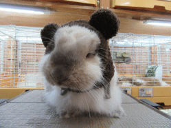 151003b.gif