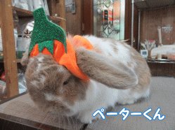 151003c.gif