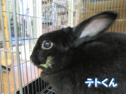 151003f.gif