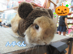 151004b.gif