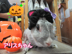 151004f.gif