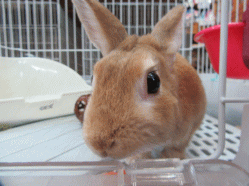 151005a.gif