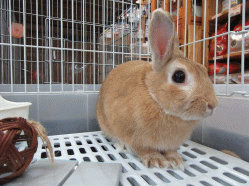 151005b.gif