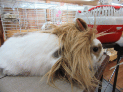 151006b.gif