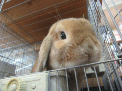 151010f.gif