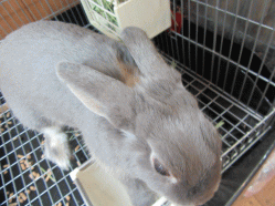 151010h.gif