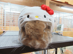 151013p.gif