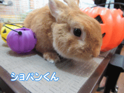 151013u.gif
