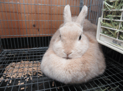 151015e.gif