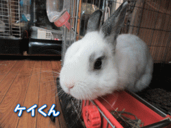 151016c.gif