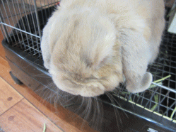 151016f.gif