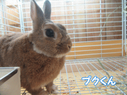 151018k.gif