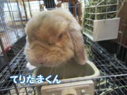 151018m.gif