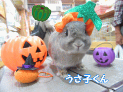 151020a.gif