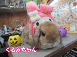 151031g.gif