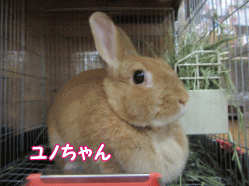 151031m.gif