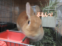 151031n.gif