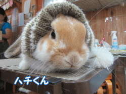 151101e.gif