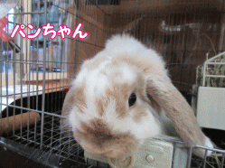 151106e.gif