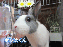 151108h.gif