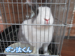 151109g.gif