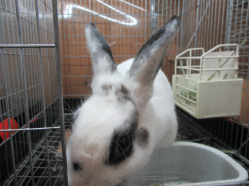 151112f.gif