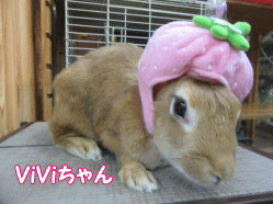 151113a.gif