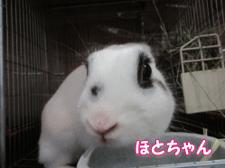 151113c.gif