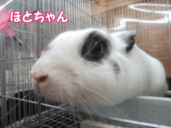 151114i.gif