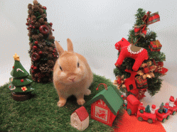 151119e.gif
