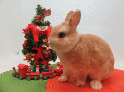 151119f.gif