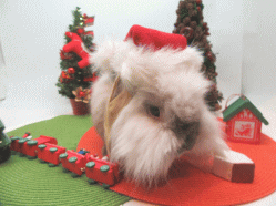 151120b.gif