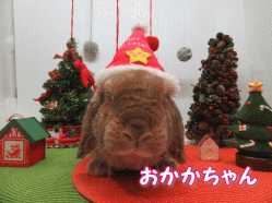 151121a.gif