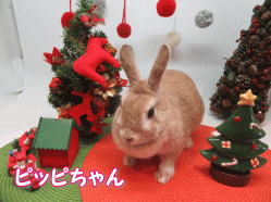 151121c.gif