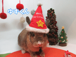 151122f.gif