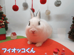 151123i.gif