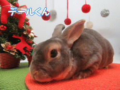151123k.gif