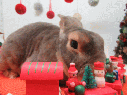 151123l.gif