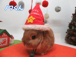 151123m.gif