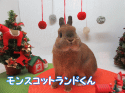 151124a.gif