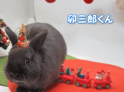 151127a.gif