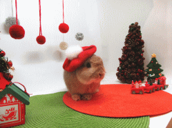 151127d.gif