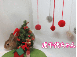 151127e.gif