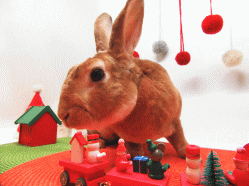 151127f.gif