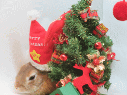 151127f.gif