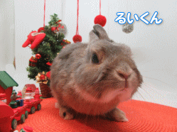 151127g.gif