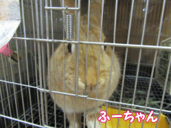 151127k.gif