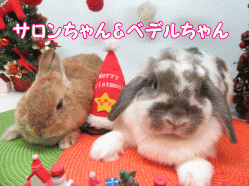 151129a.gif