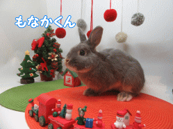 151129e.gif