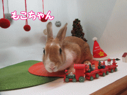 151129i.gif